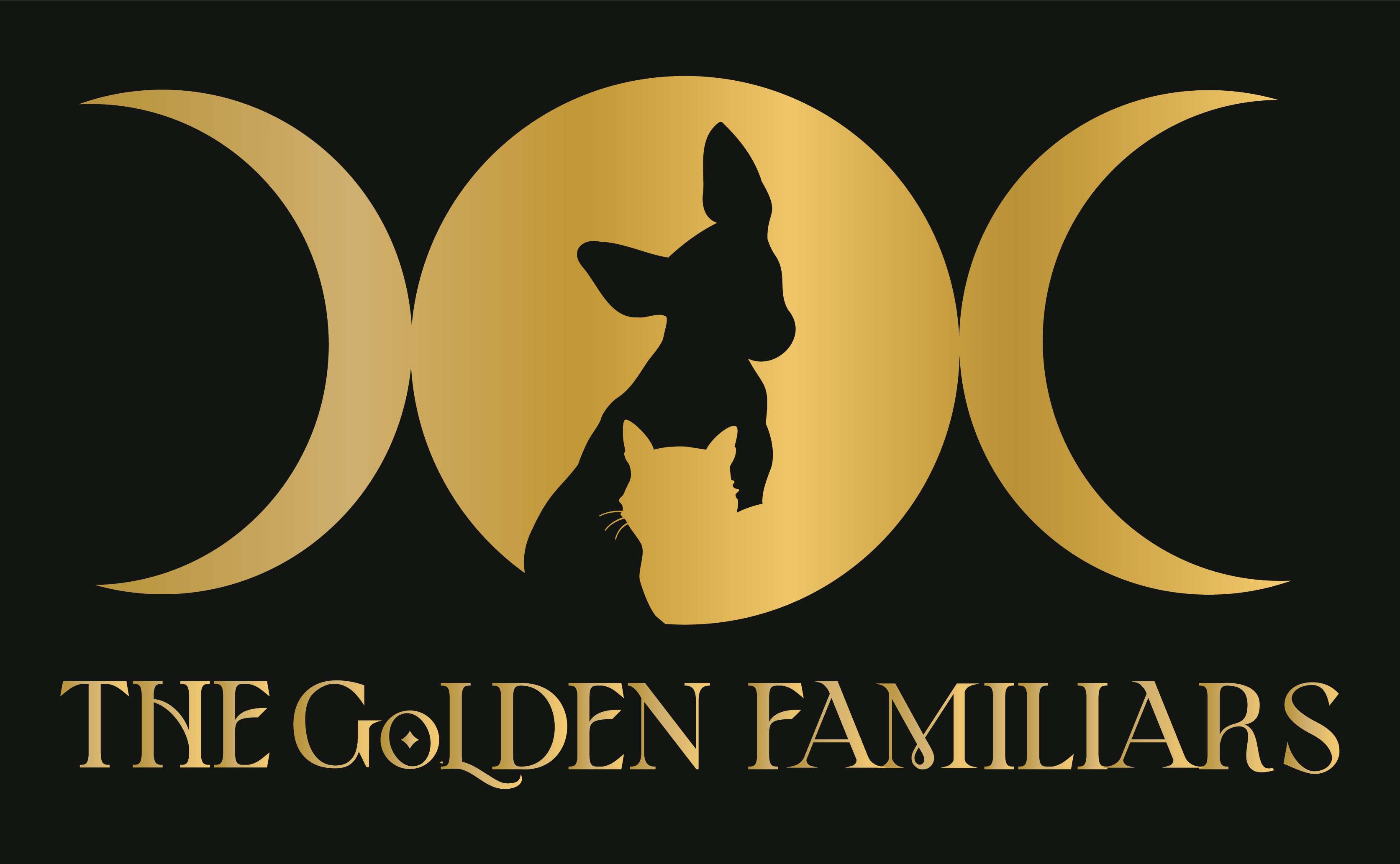 stitch-n-go-cases-the-golden-familiars